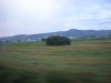 DSCN4900