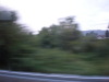 DSCN4917