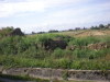 DSCN5034