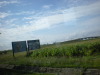 DSCN5037