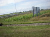 DSCN5041