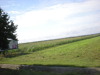 DSCN5044